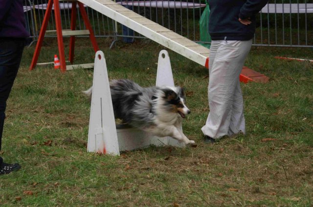 foire-haricots 2011-09-17et18